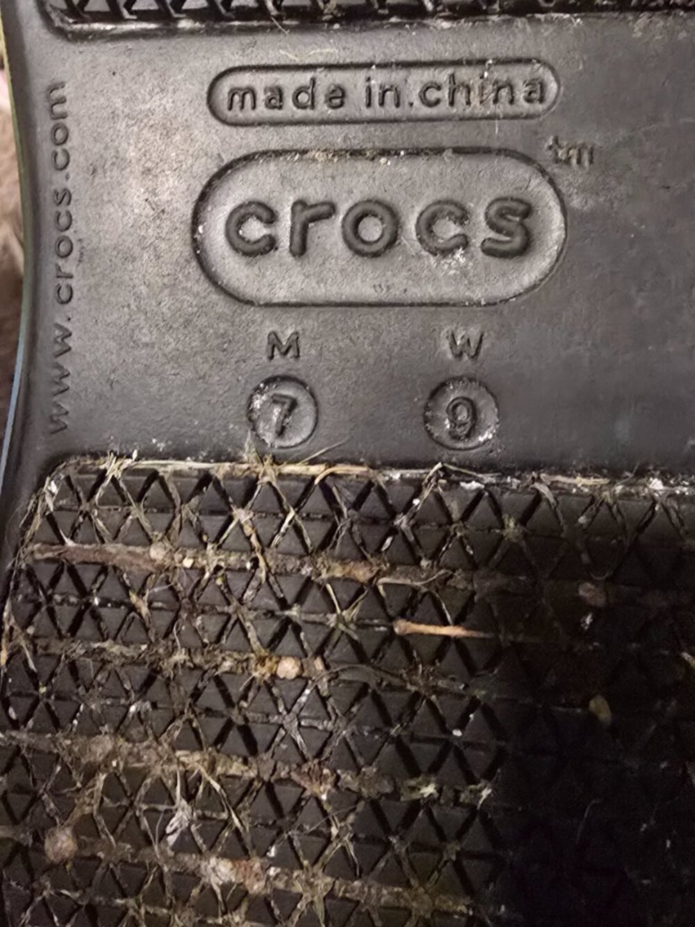 crocs - Picture 2 of 5